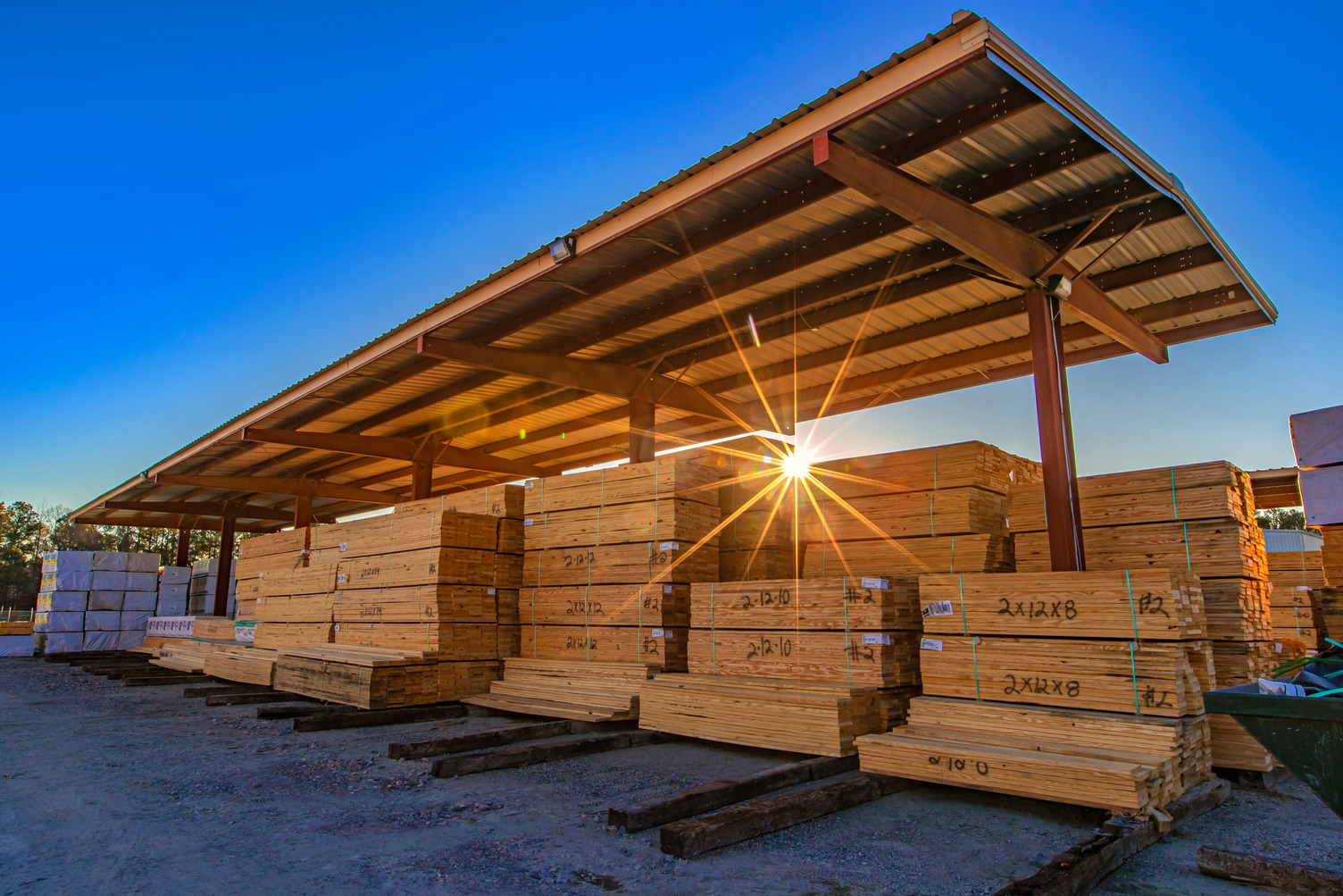 Sun Shining Through T-Shed of Lumber